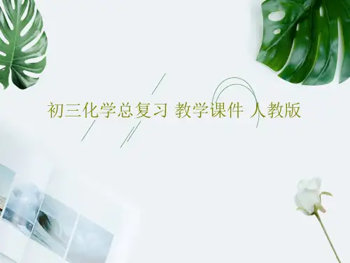 初三化学总复习 教学课件 人教版PPT36页