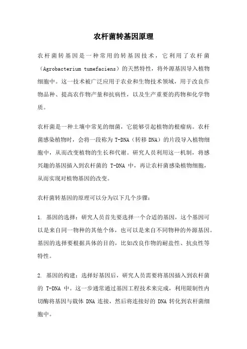 农杆菌转基因原理