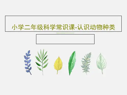 小学二年级科学常识课-认识动物种类共26页