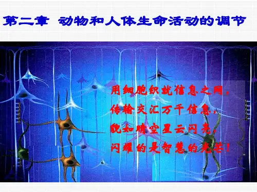 高中生物必修三：2.1通过神经系统的调节PPT幻灯片