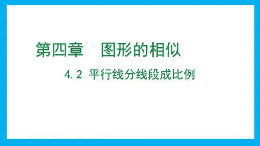 4.2+平行线分线段成比例++课件++2024--2025学年北师大版九年级数学上册