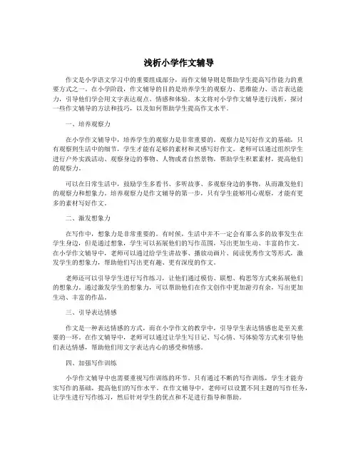 浅析小学作文辅导