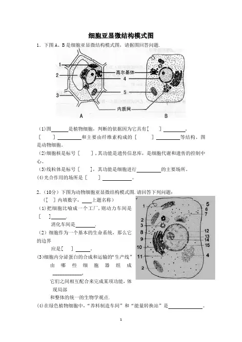 细胞亚显微结构图