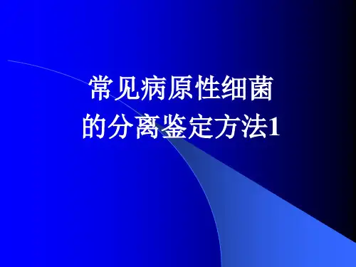常见病原性细菌的分离鉴定方法1