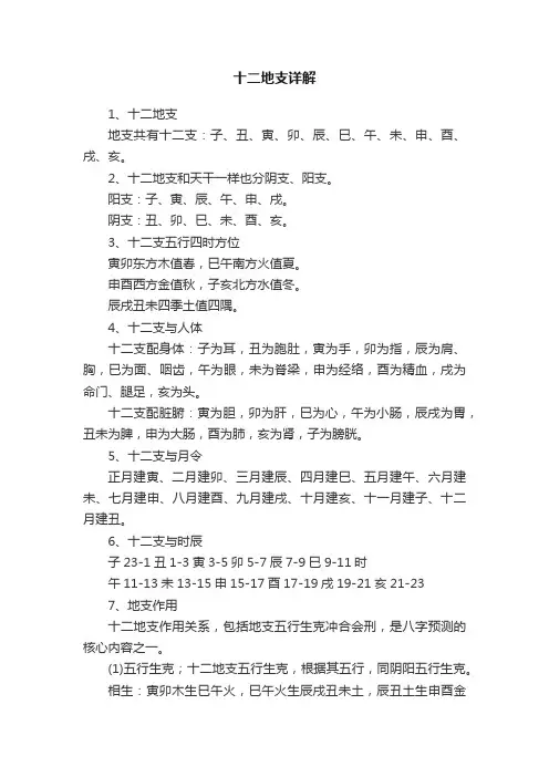 十二地支详解