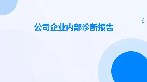 公司企业内部诊断报告