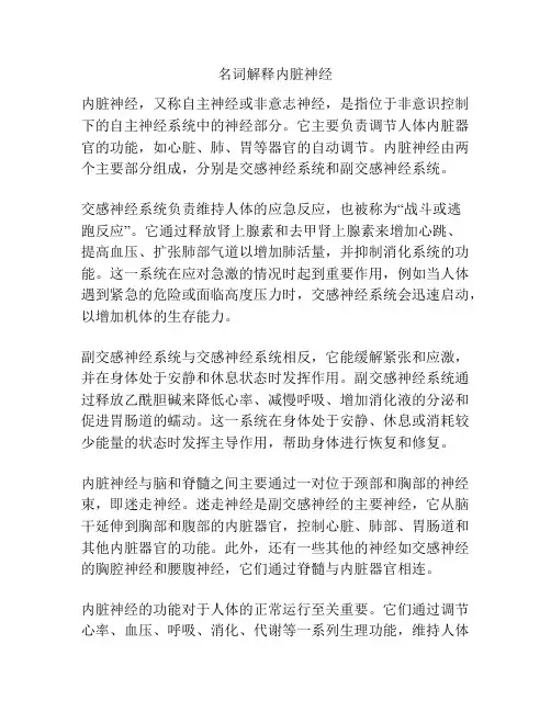 名词解释内脏神经