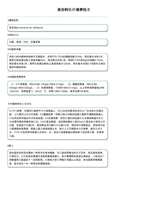 百合的组织培养技术