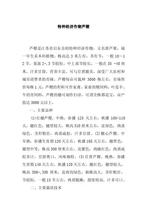 特种经济作物芦稷