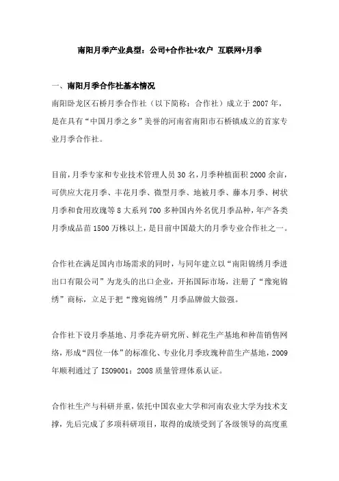 南阳月季产业典型