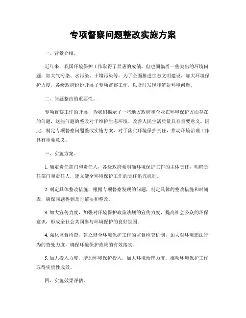专项督察问题整改实施方案