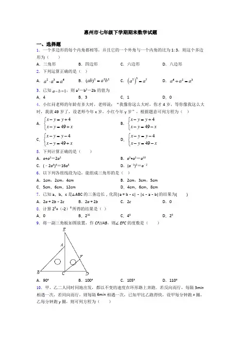 惠州市七年级下学期期末数学试题