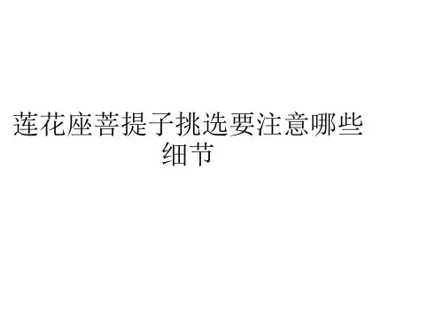 莲花座菩提子挑选要注意哪些细节