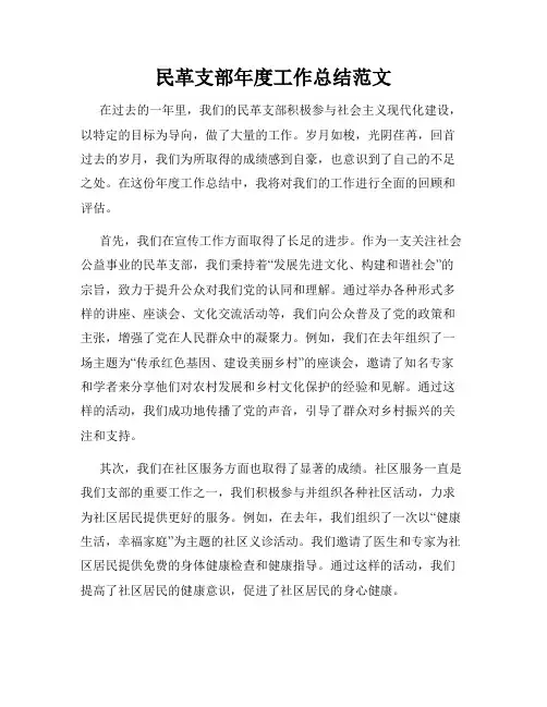 民革支部年度工作总结范文