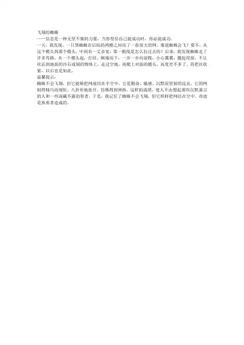 飞翔的蜘蛛