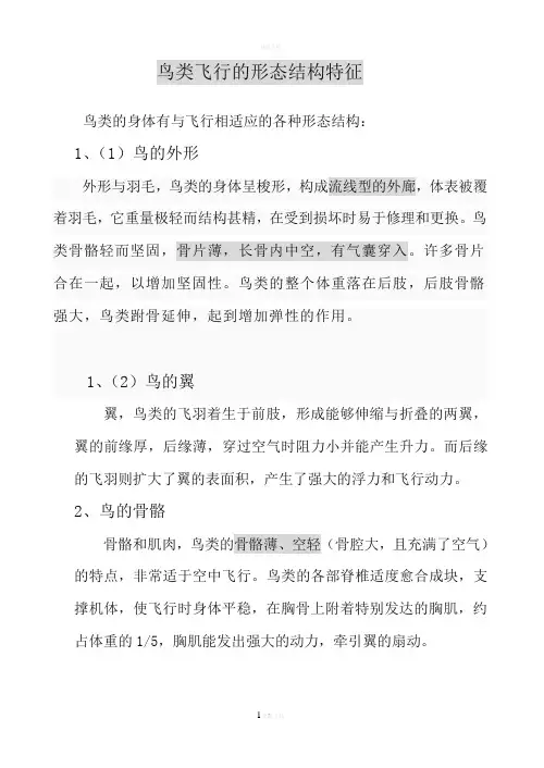 鸟类飞行特征