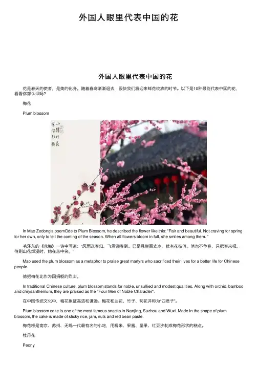 外国人眼里代表中国的花