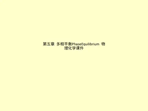 第五章  多相平衡PhaseEquilibrium  物理化学课件