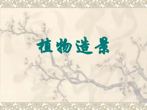 绪论第一讲植物造景概述