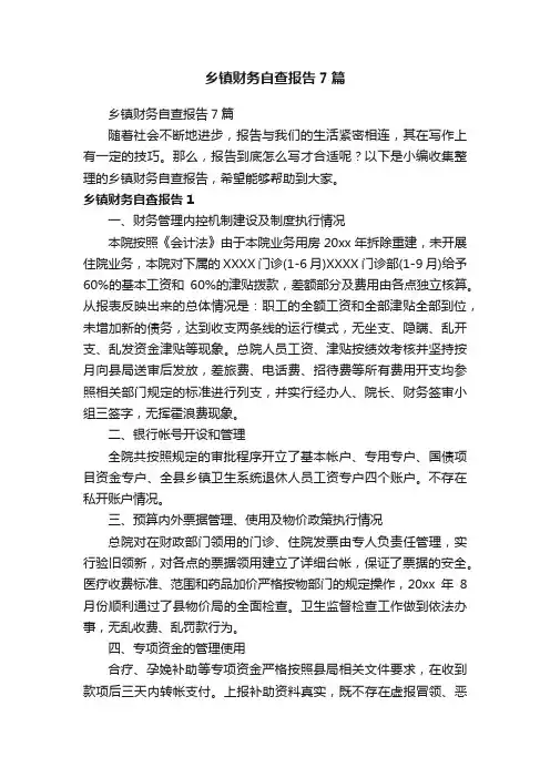 乡镇财务自查报告7篇