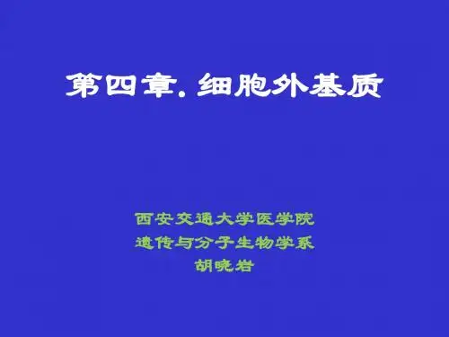 007-胞外基质(细胞-2012五)