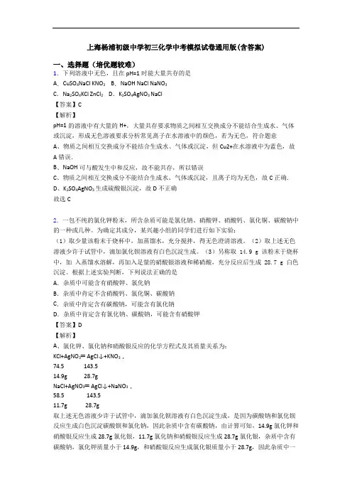 上海杨浦初级中学初三化学中考模拟试卷通用版(含答案)