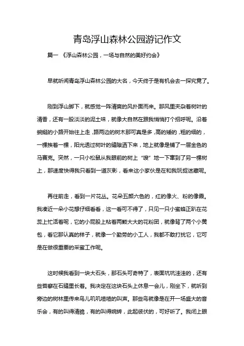青岛浮山森林公园游记作文