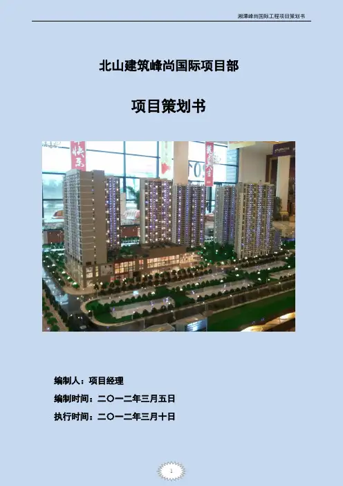 湘潭项目策划书
