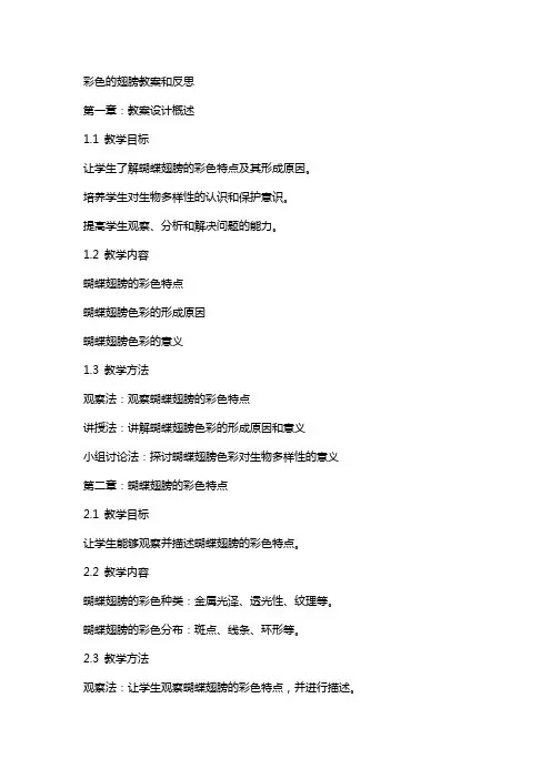彩色的翅膀教案和反思