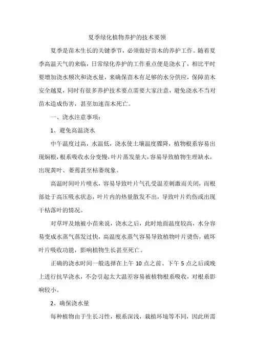 夏季绿化养护注意技巧与方法