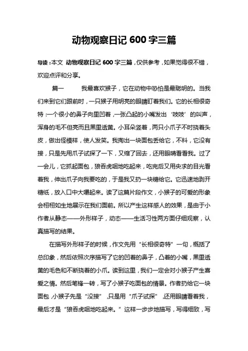 动物观察日记600字三篇