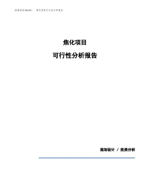 焦化项目可行性分析报告(模板参考范文)