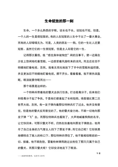 生命绽放的那一刻_初二作文
