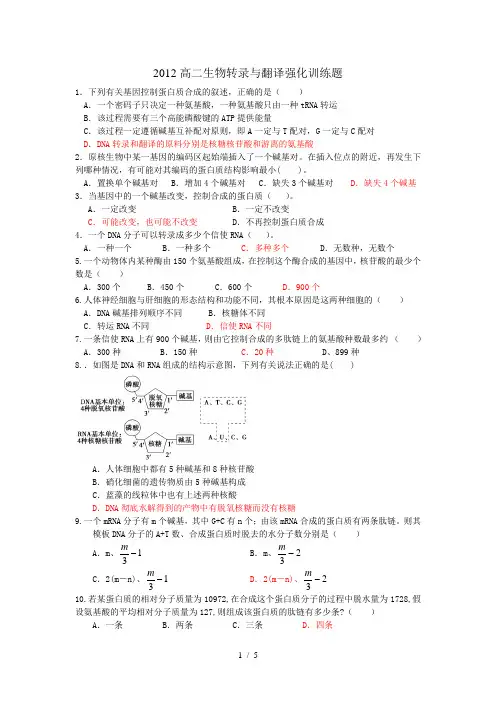 2012高二生物转录与翻译强化训练题