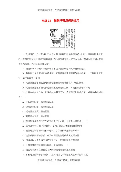 2023版新教材高考生物微专题小练习专练23细胞呼吸原理的应用