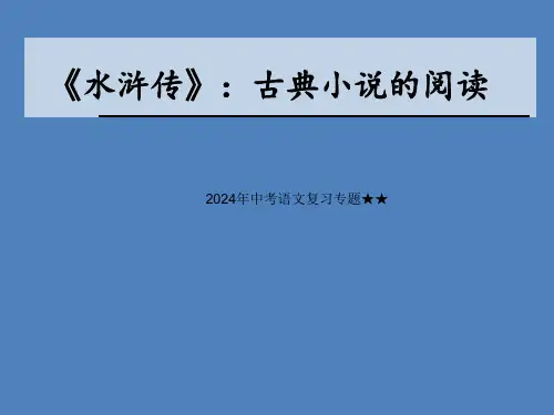 2024年中考语文复习专题《水浒传》：古典小说的阅读  鲁智深课件(29张ppt)
