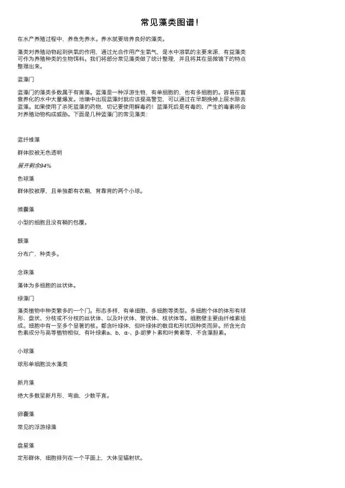 常见藻类图谱！