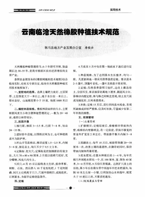 云南临沧天然橡胶种植技术规范