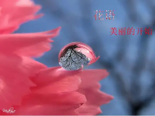 《花语大全》PPT课件