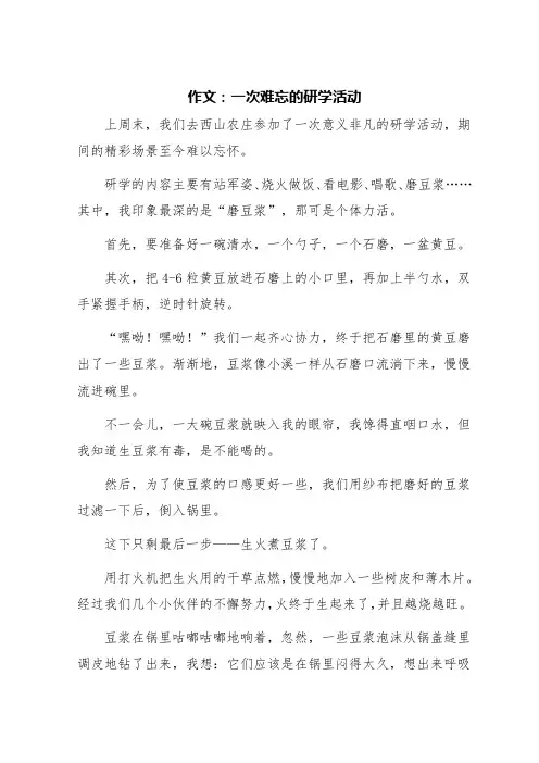 记一次难忘的研学活动500字