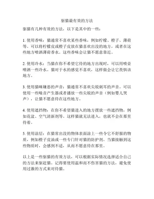 驱猫最有效的方法