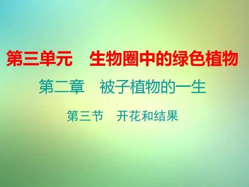 七年级生物上册第三单元第二章第三节开花和结果课件(新版)新人教版4