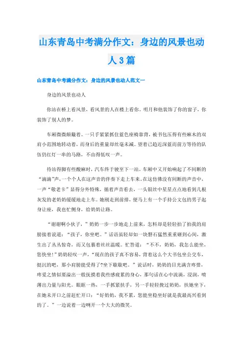山东青岛中考满分作文：身边的风景也动人3篇