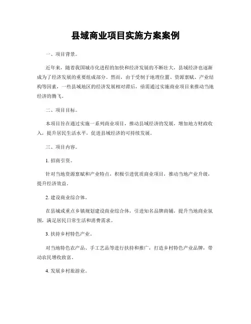 县域商业项目实施方案案例