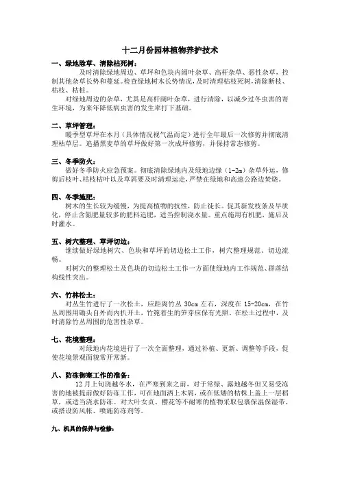 十二月份园林植物养护技术
