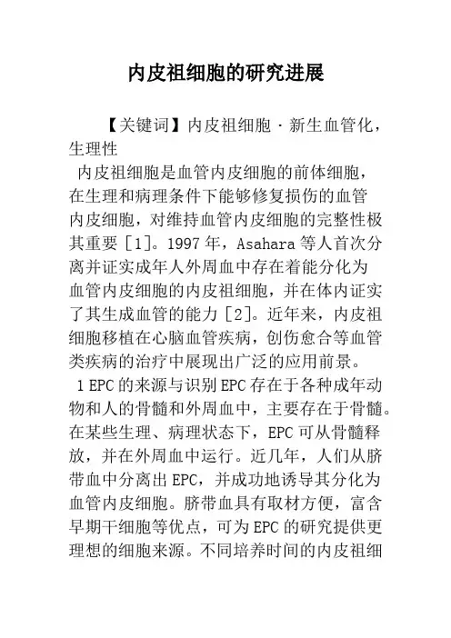 内皮祖细胞的研究进展