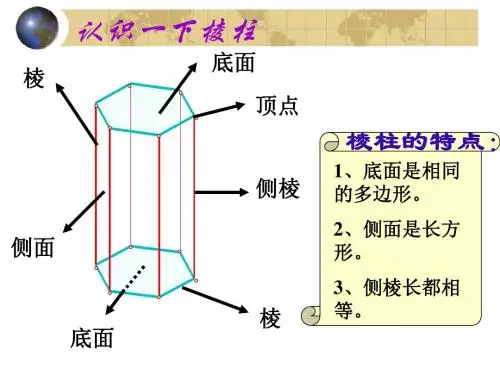 1.1_丰富的图形世界(复习)课件1