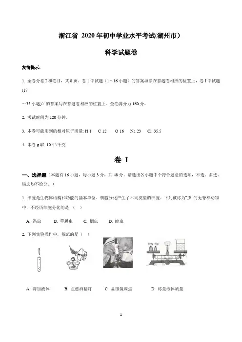 2020年浙江省湖州市中考科学试题(word版 含答案)