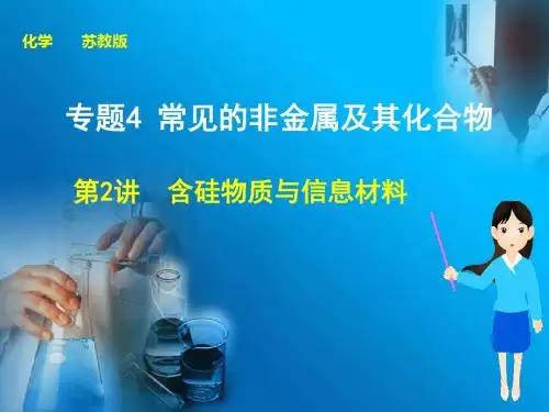 步步高高考化学大一轮复习(苏教版通用)配套课件：专题四  第2讲 含硅物质与信息材料