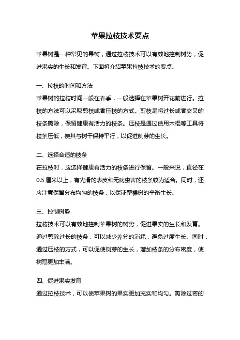 苹果拉枝技术要点